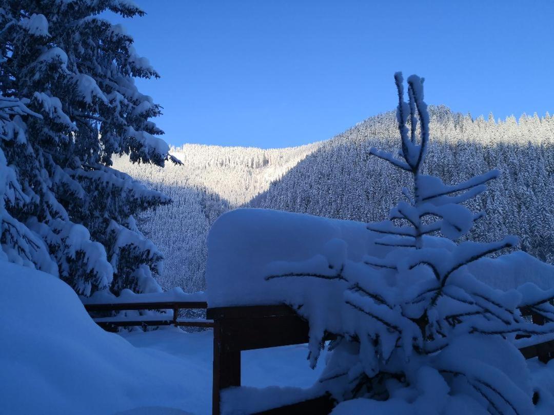 Cabana "Trei Brazi " Retezat Rîu de Mori Exteriör bild