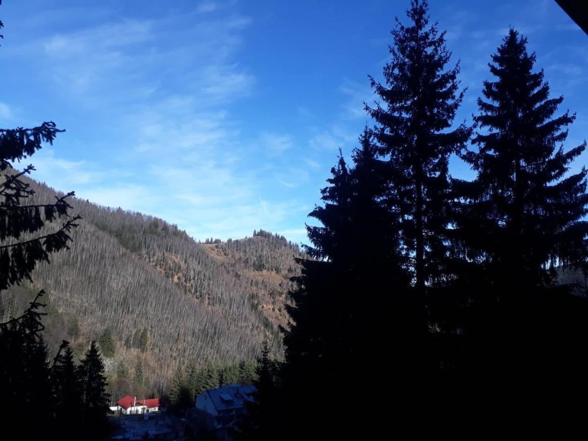 Cabana "Trei Brazi " Retezat Rîu de Mori Exteriör bild