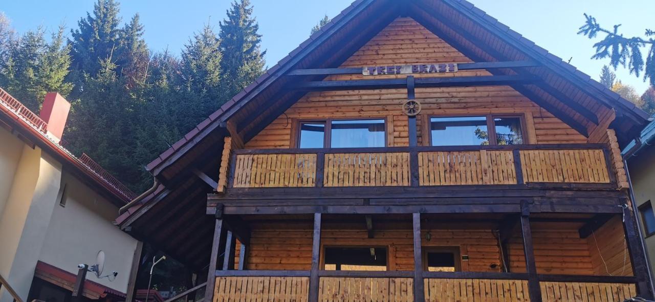 Cabana "Trei Brazi " Retezat Rîu de Mori Exteriör bild