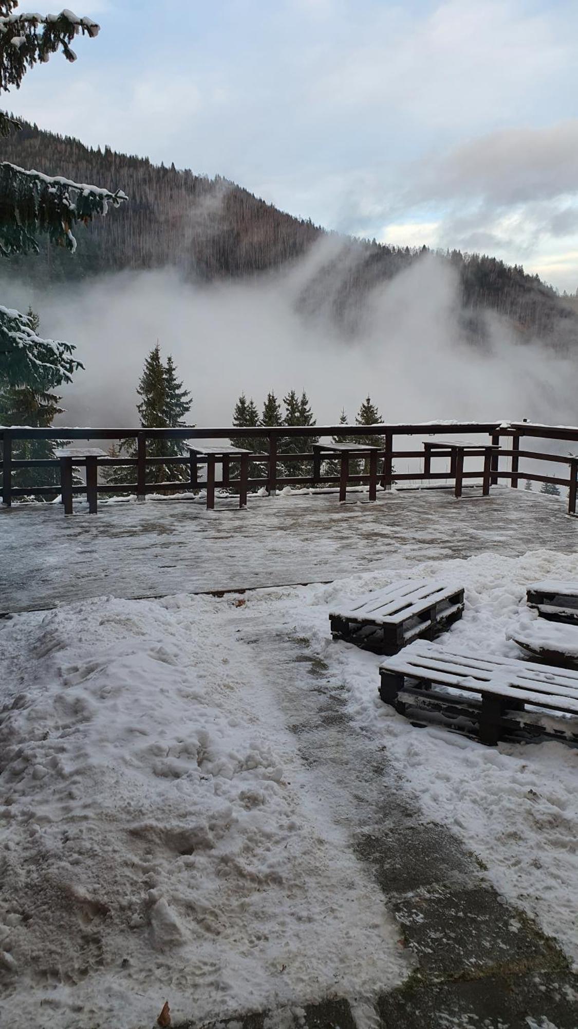 Cabana "Trei Brazi " Retezat Rîu de Mori Exteriör bild