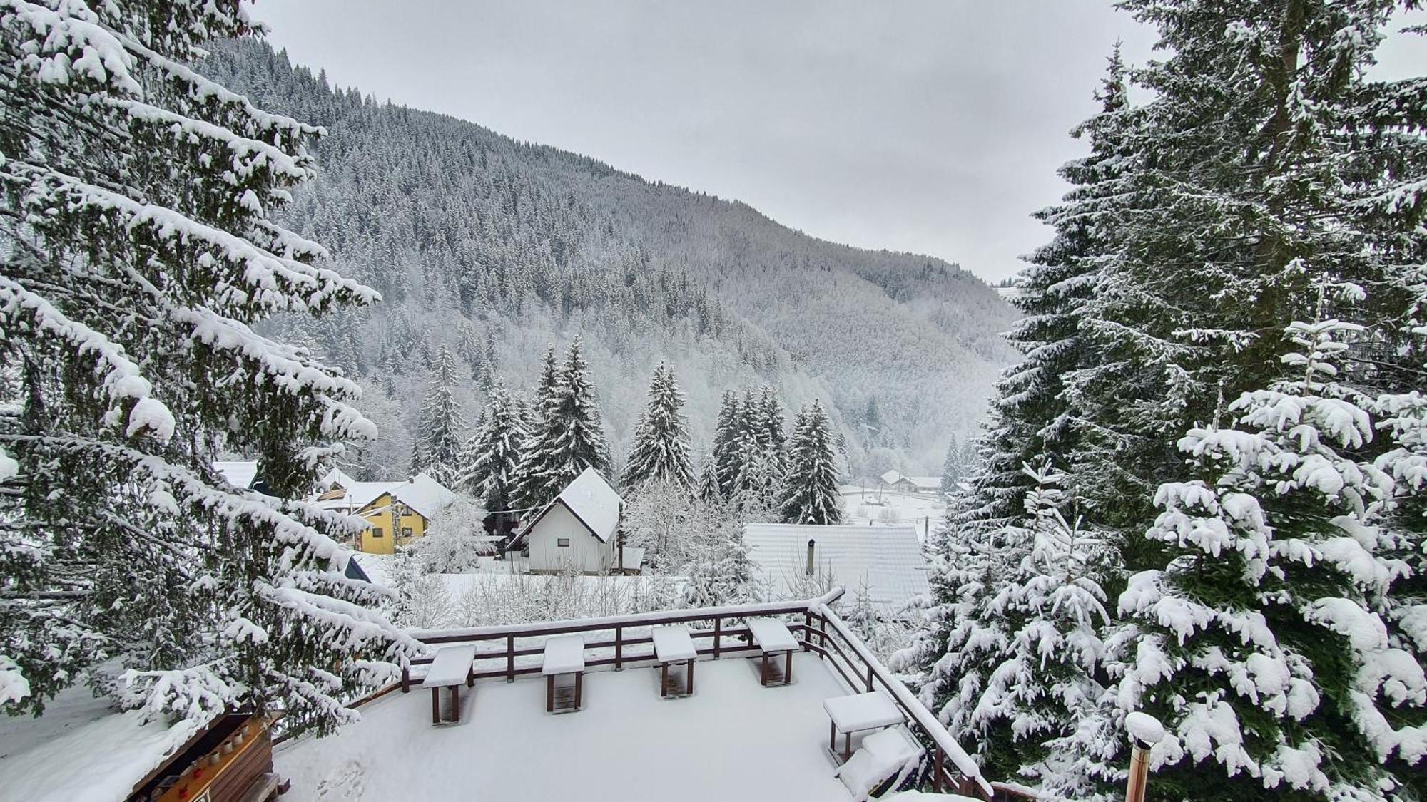 Cabana "Trei Brazi " Retezat Rîu de Mori Exteriör bild