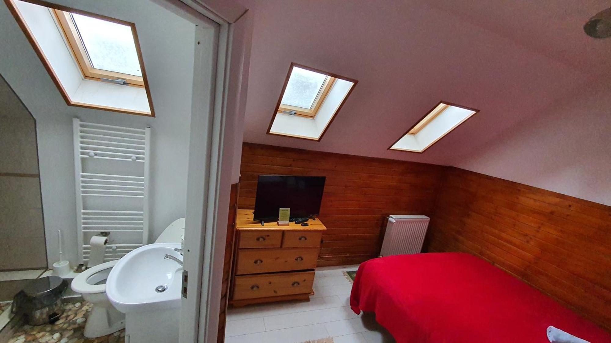Cabana "Trei Brazi " Retezat Rîu de Mori Exteriör bild